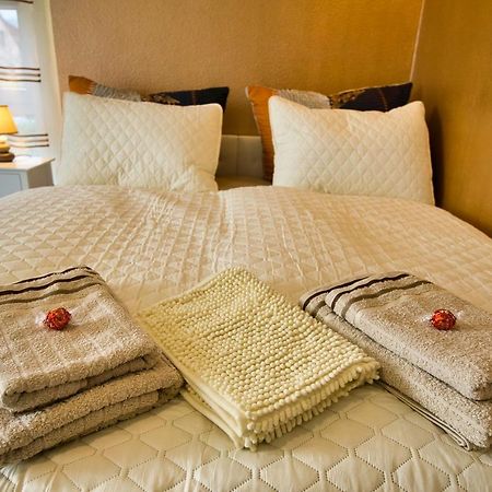 Mycozyplace - Zwei Gemuetliche Zimmer Fuer Vier Дрезден Екстер'єр фото
