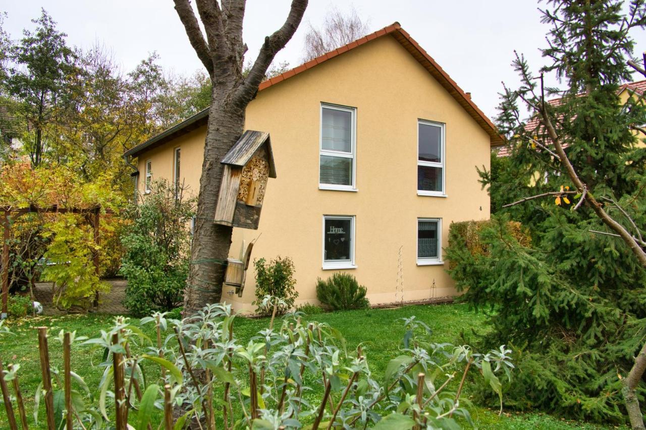 Mycozyplace - Zwei Gemuetliche Zimmer Fuer Vier Дрезден Екстер'єр фото